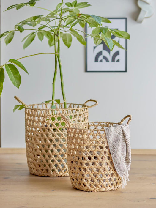 Rachel Basket, Nature