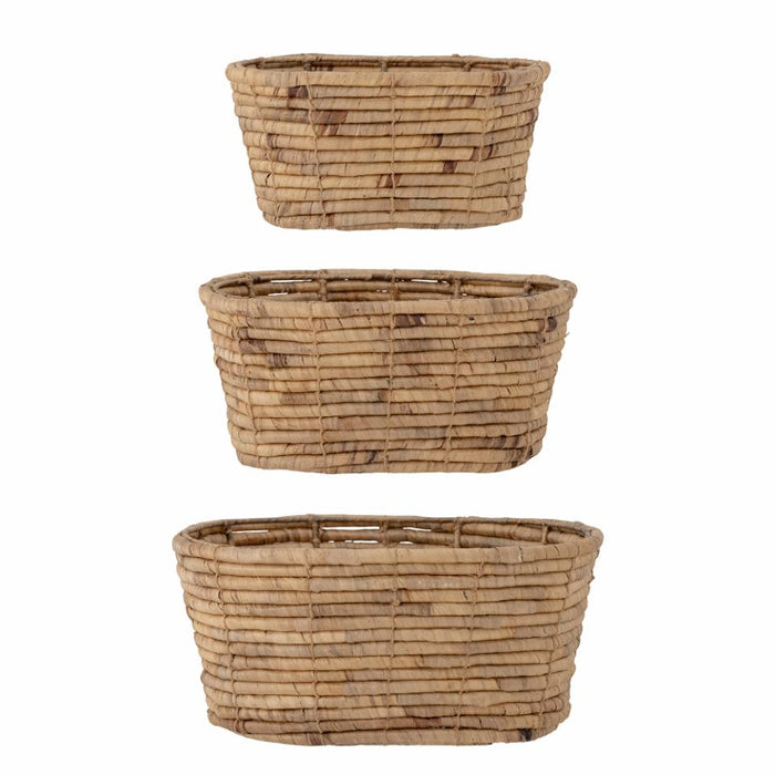 Barba Basket, Nature