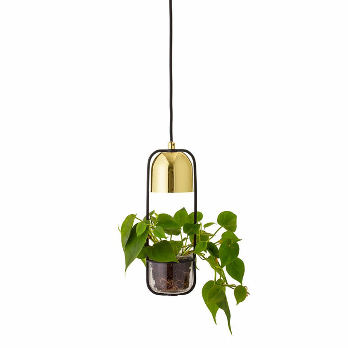 Gullak Pendant Lamp, Gold, Metal